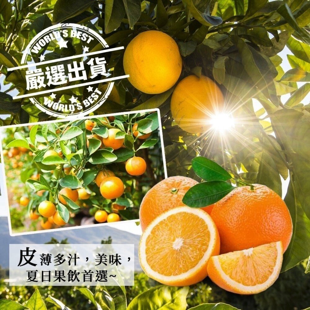 嚴選澳洲肚臍丁原箱16kg±10%含箱/113-138A 0運費【果之蔬】澳洲丁 澳洲柳丁 進口肚臍丁-圖片-2