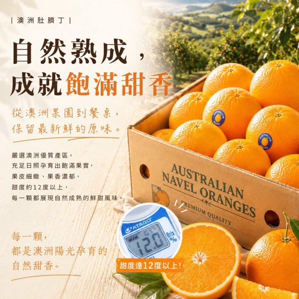 嚴選澳洲肚臍丁原箱16kg±10%含箱/113-138A 0運費【果之蔬】澳洲丁 澳洲柳丁 進口肚臍丁-圖片-4