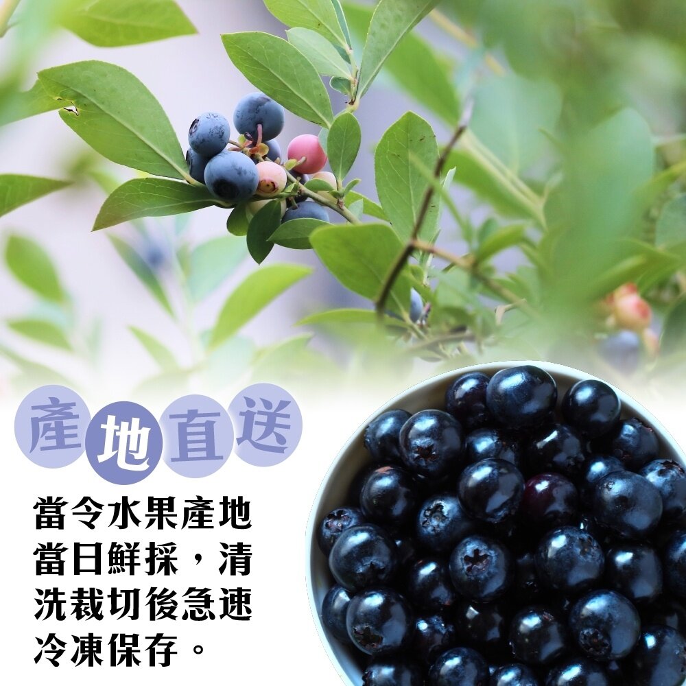 冷凍加拿大野生藍莓家庭原裝包(每包1kg±10%)【天天鮮配】滿額免運 加拿大野生藍莓 冷凍水果 優格果昔-圖片-3