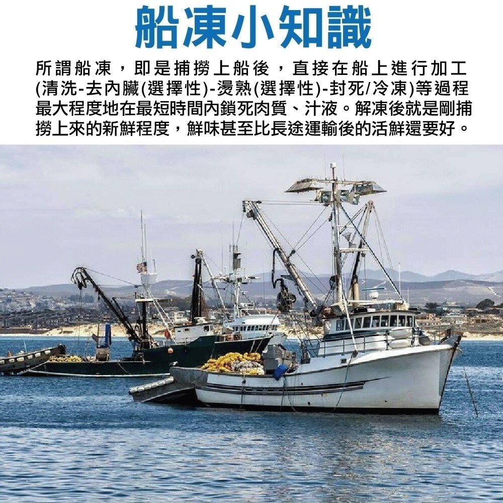 新鮮活凍草蝦(每盒300g±10%/約16-20隻)【海陸管家】滿額免運-圖片-2