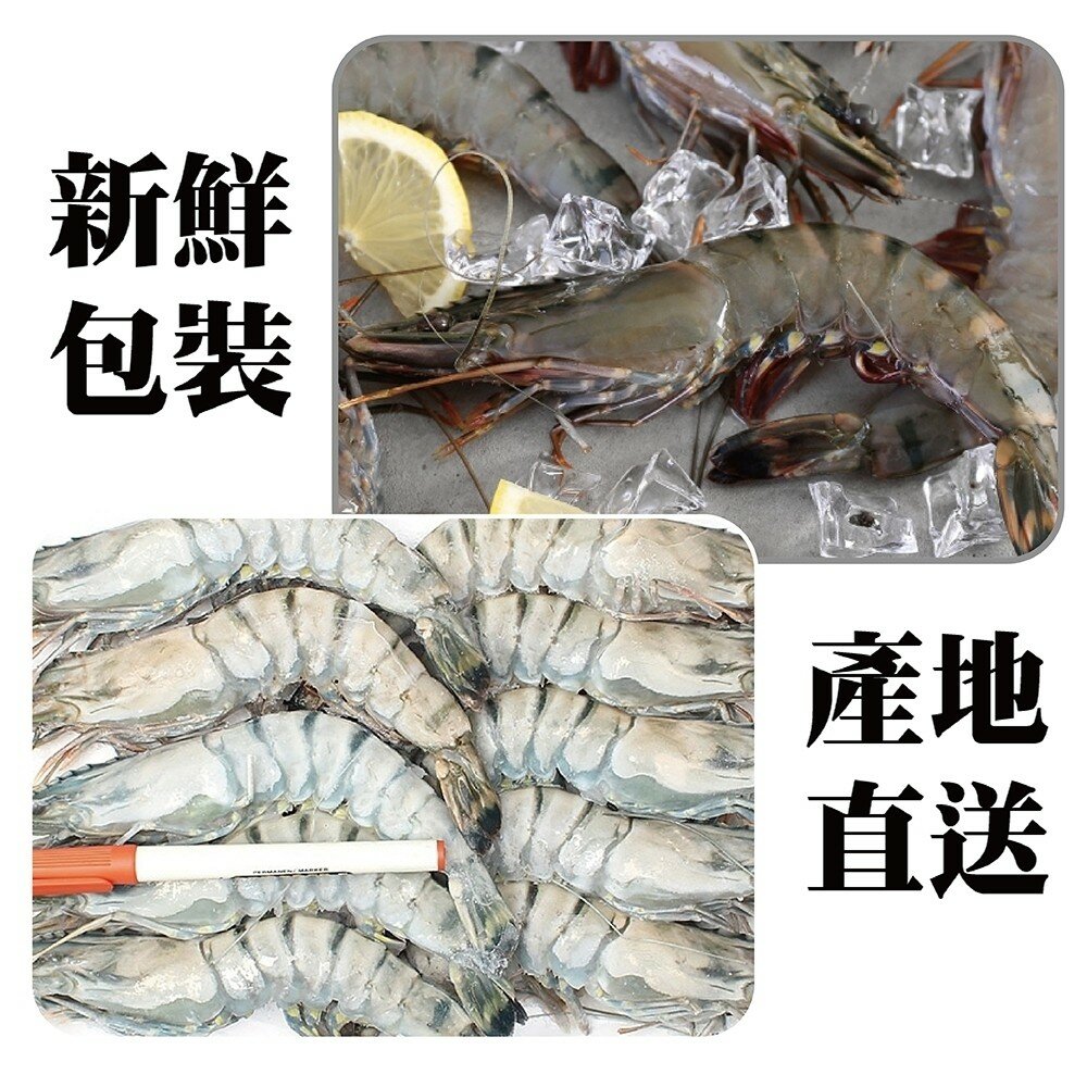 新鮮活凍草蝦(每盒300g±10%/約16-20隻)【海陸管家】滿額免運-圖片-5