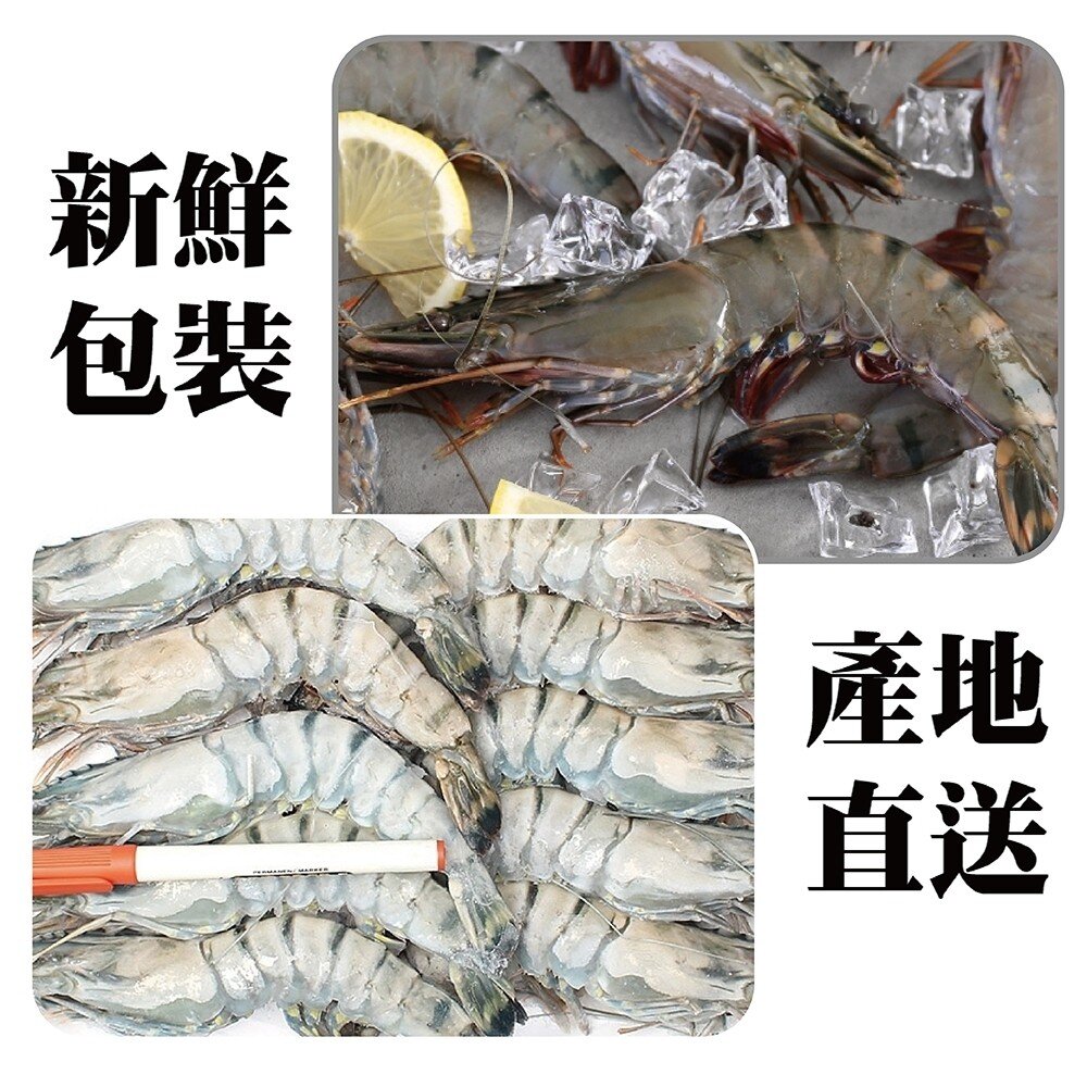 新鮮活凍草蝦(每盒300g±10%/約16-20隻)【天天鮮配】滿額免運-圖片-5