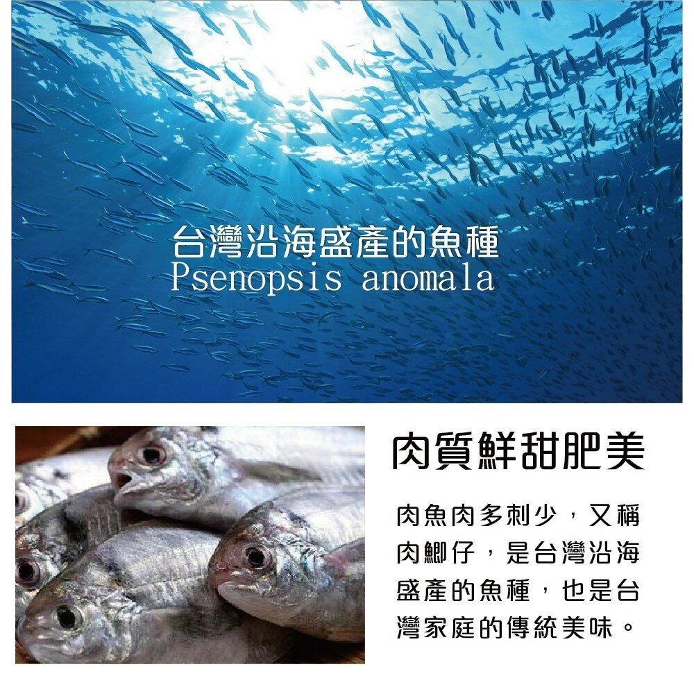 新鮮野生肉魚/肉鯽仔(每尾100g±10%)【海陸管家】滿額免運-圖片-1