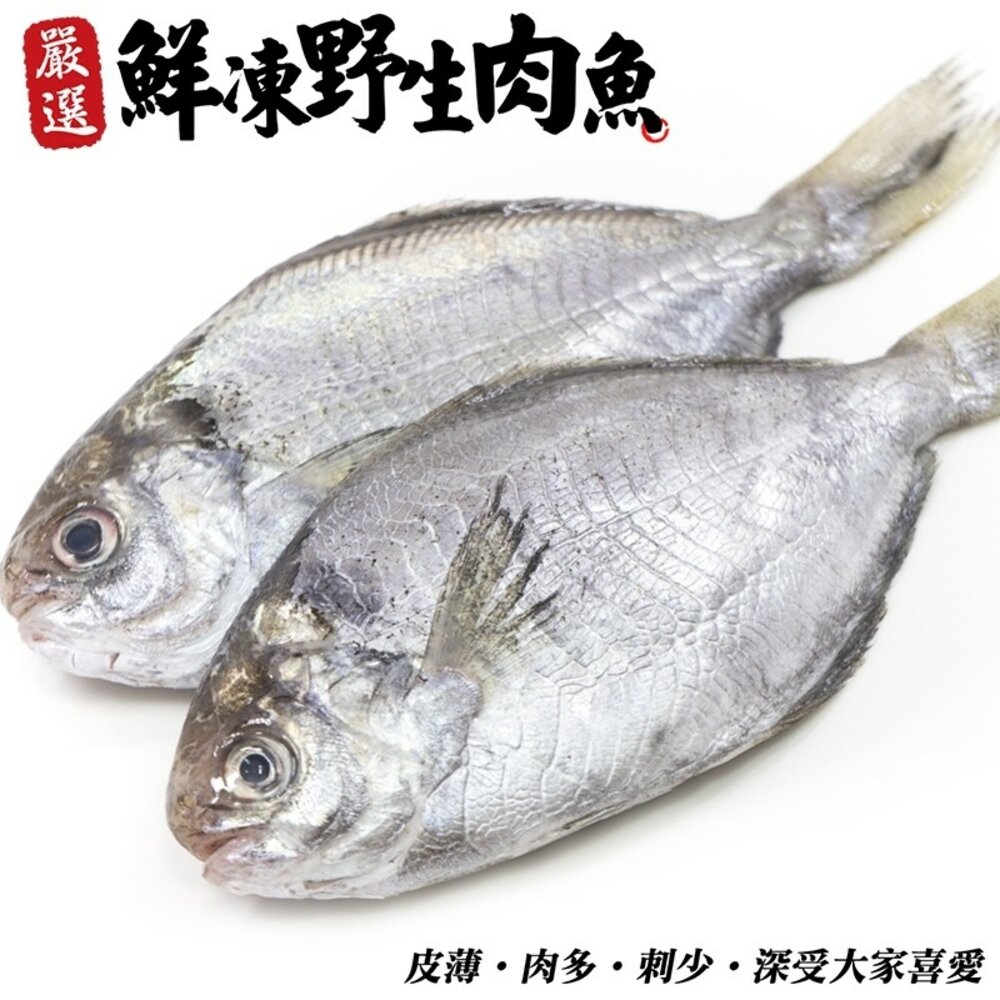2828863349-新鮮野生肉魚/肉鯽仔(每尾100g±10%)【海陸管家】滿額免運