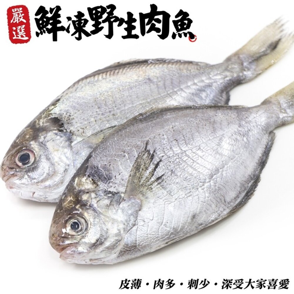 2828863349-新鮮野生肉魚/肉鯽仔(每尾100g±10%)【天天鮮配】滿額免運