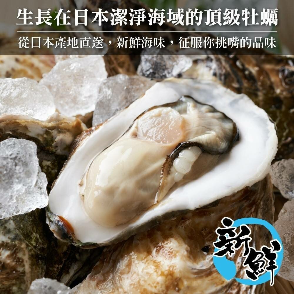 日本原裝全殼牡蠣2L號(每包5顆/約500g)【海陸管家】滿額免運-圖片-2