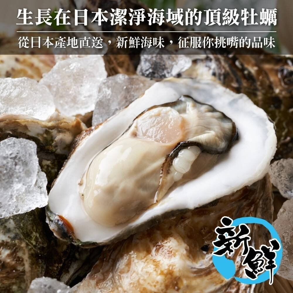 日本原裝全殼牡蠣2L號(每包5顆/約500g)【天天鮮配】滿額免運-圖片-2