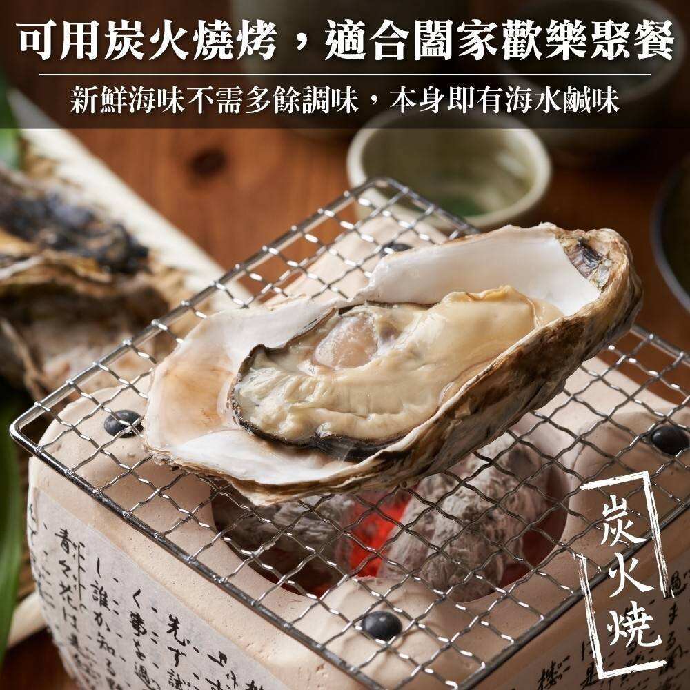 日本原裝全殼牡蠣2L號(每包5顆/約500g)【天天鮮配】滿額免運-圖片-3