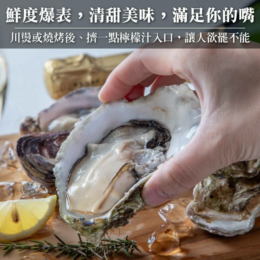 日本原裝全殼牡蠣2L號(每包5顆/約500g)【海陸管家】滿額免運-圖片-4