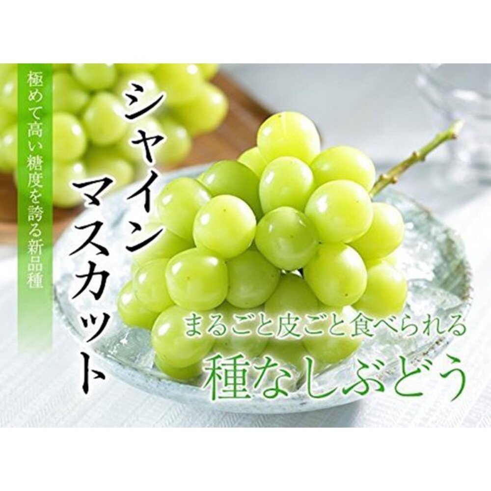 日本岡山晴王麝香葡萄原箱 0運費【果之蔬】日本葡萄 無籽葡萄 綠葡萄 日本綠葡萄 日本水果 晴王葡萄-圖片-4