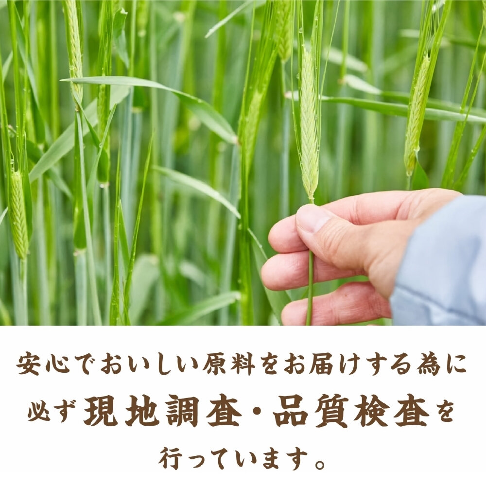 日本 Hakubaku 黃金糯麥(每袋12包/約600g) 糯麥米 糯麥米飯 糯麥-圖片-5