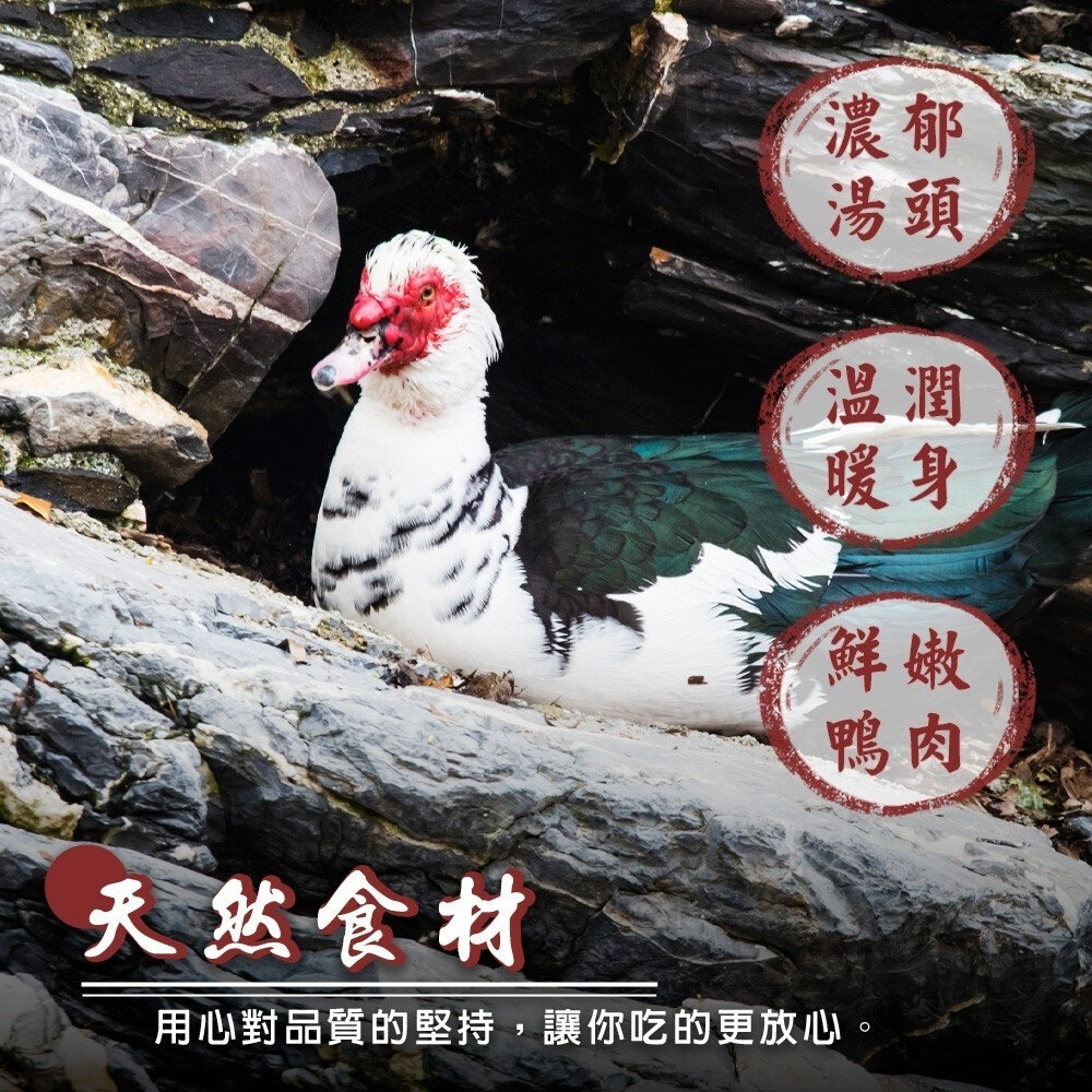 台式經典薑母鴨(每組1100g±10%)【天天鮮配】年菜必買-圖片-4