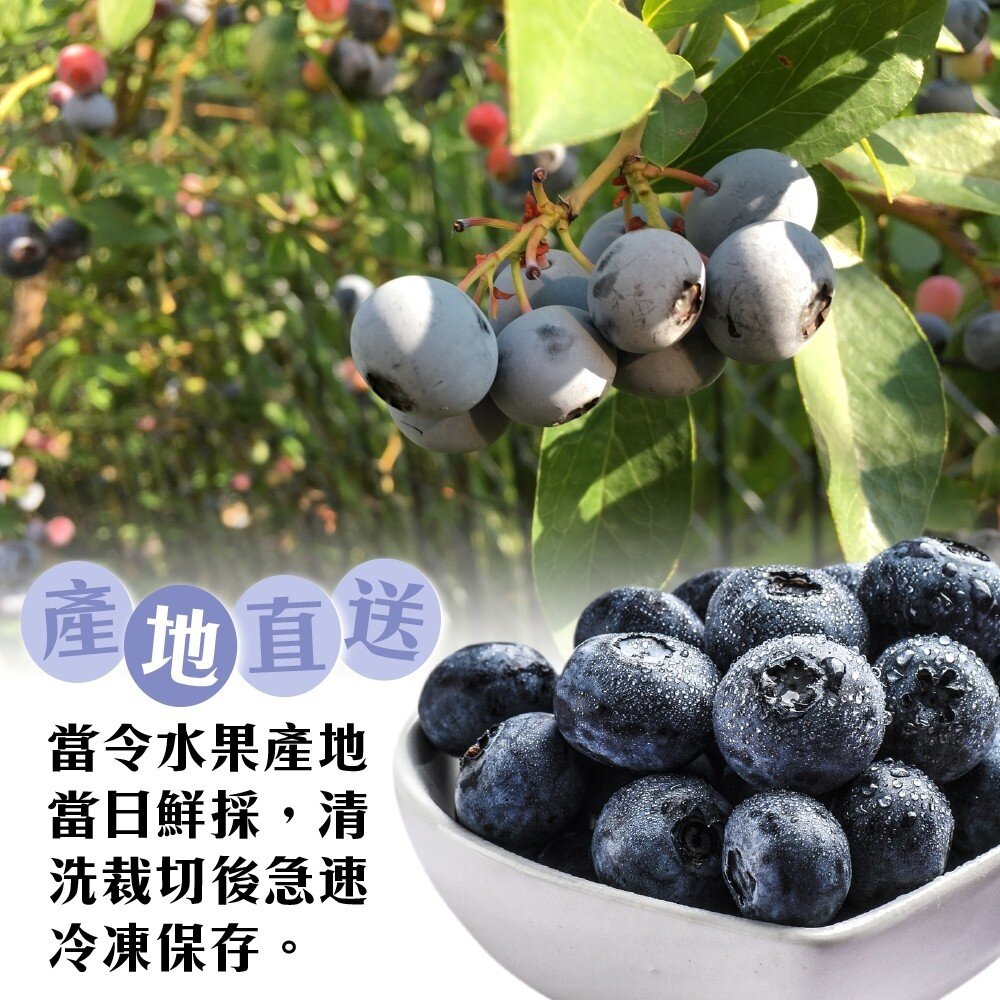 冷凍美國/智利栽種藍莓(每包200g±10%)【天天鮮配】滿額免運 冷凍藍莓 優格果昔 烘焙甜點-圖片-3