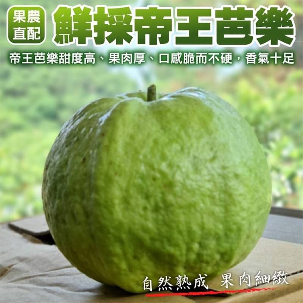 3367099021-嚴選台灣帝王芭樂 0運費【果農直配】台灣芭樂 白芭樂 土芭樂