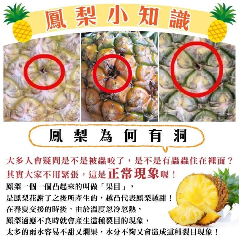 產銷履歷-金鑽鳳梨(每顆1200g±10%) 0運費【果農直配】產銷鳳梨-圖片-6