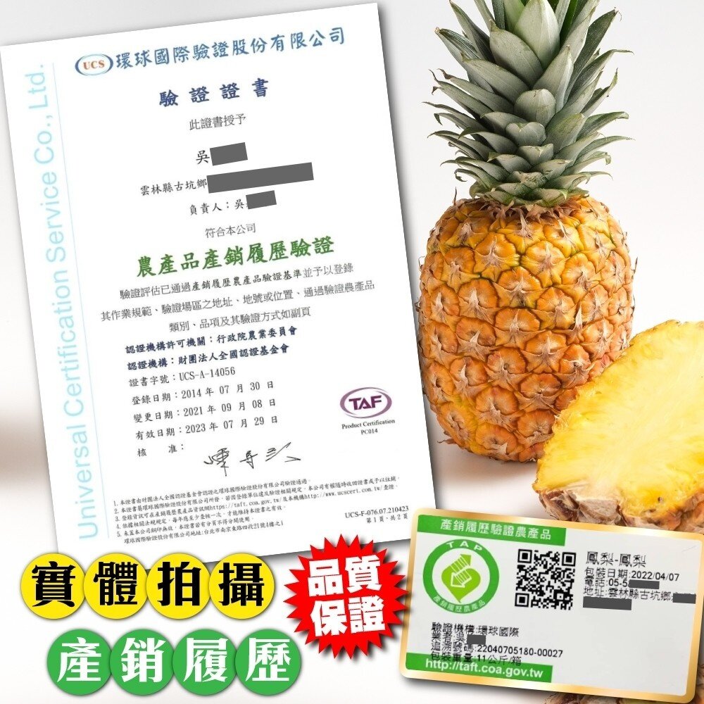 產銷履歷-金鑽鳳梨(每顆1200g±10%) 0運費【果農直配】產銷鳳梨-圖片-7