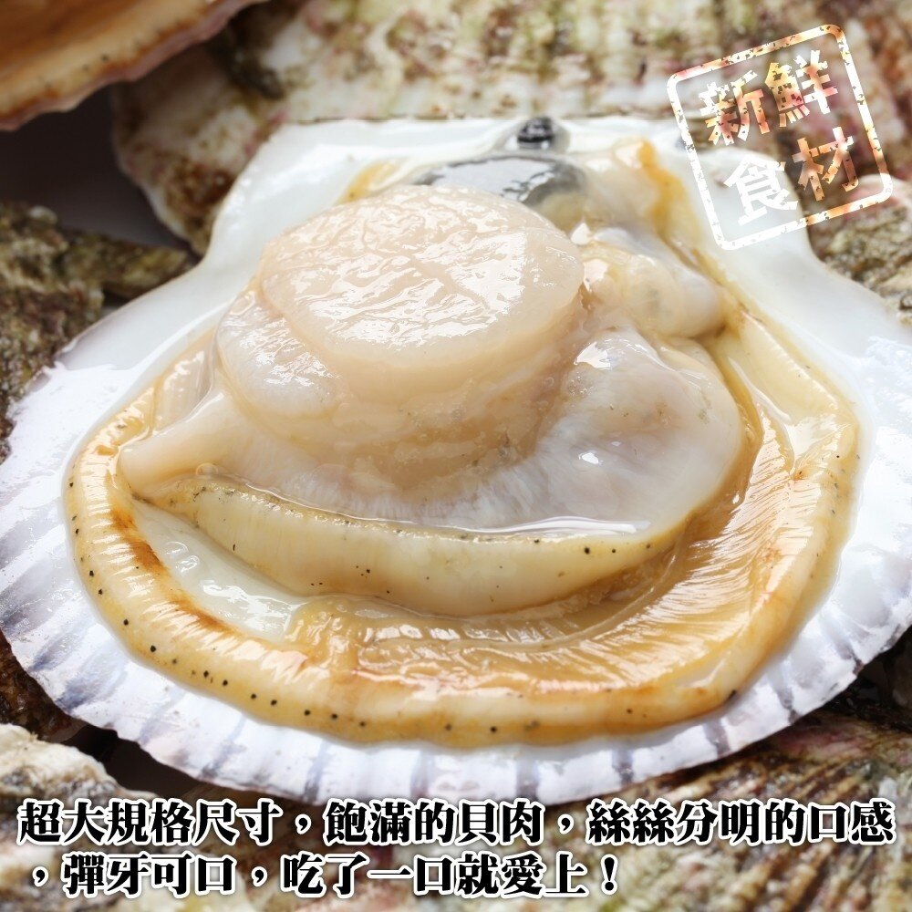 人氣熱賣生鮮半殼扇貝(每包500g±10%/約5-9顆)【海陸管家】滿額免運-圖片-5