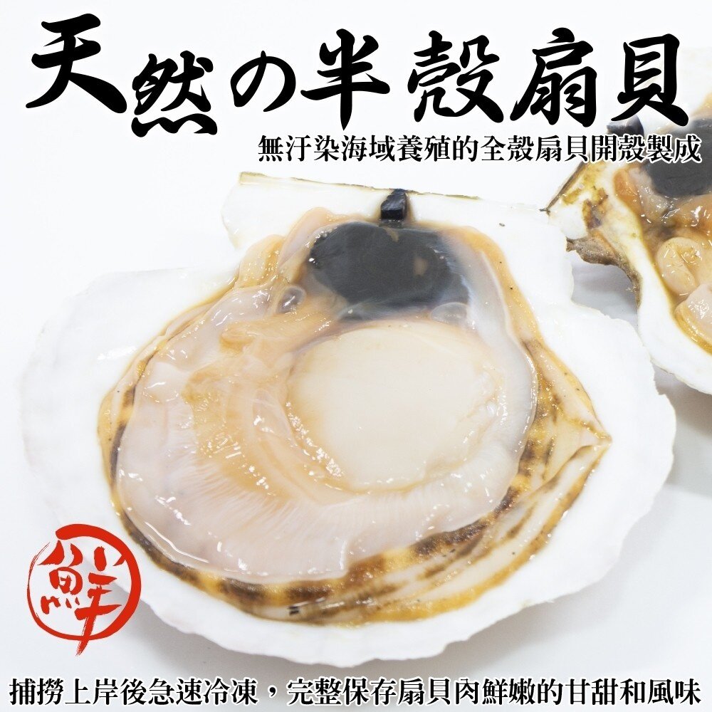 3494478182-人氣熱賣生鮮半殼扇貝(每包500g±10%/約5-9顆)【天天鮮配】滿額免運