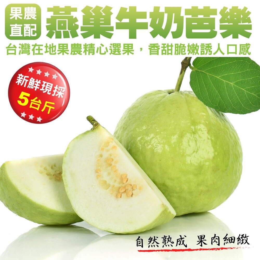 3827261494-燕巢牛奶珍珠芭樂 0運費【果農直配】全省免運