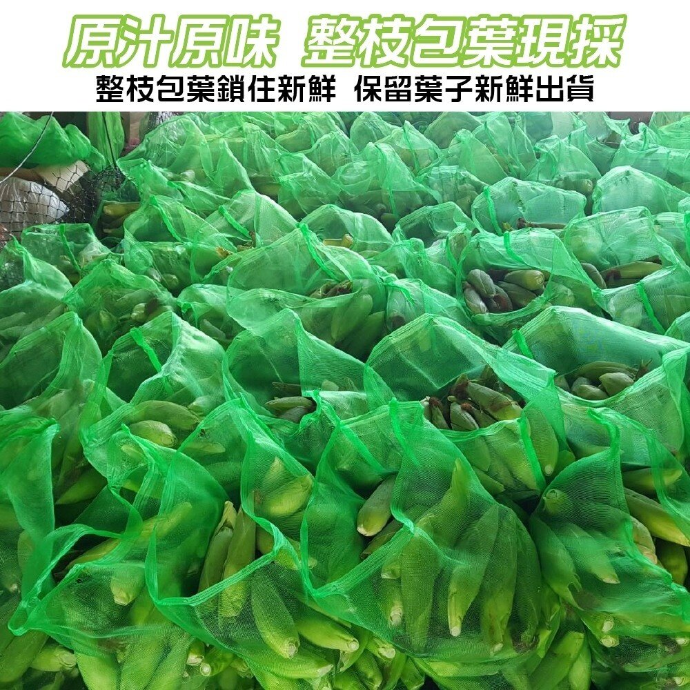 日本品種-台灣水果玉米 0運費【果農直配】-圖片-5