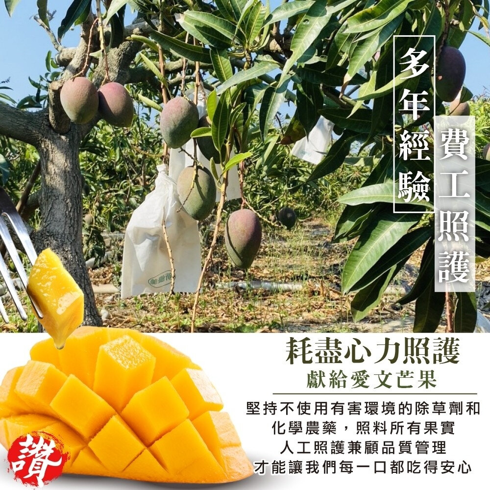 嚴選屏東愛文芒果 0運費【果之蔬】芒果 台灣愛文-圖片-2