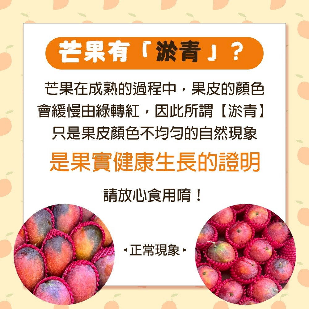 嚴選屏東愛文芒果 0運費【果之蔬】芒果 台灣愛文-圖片-10