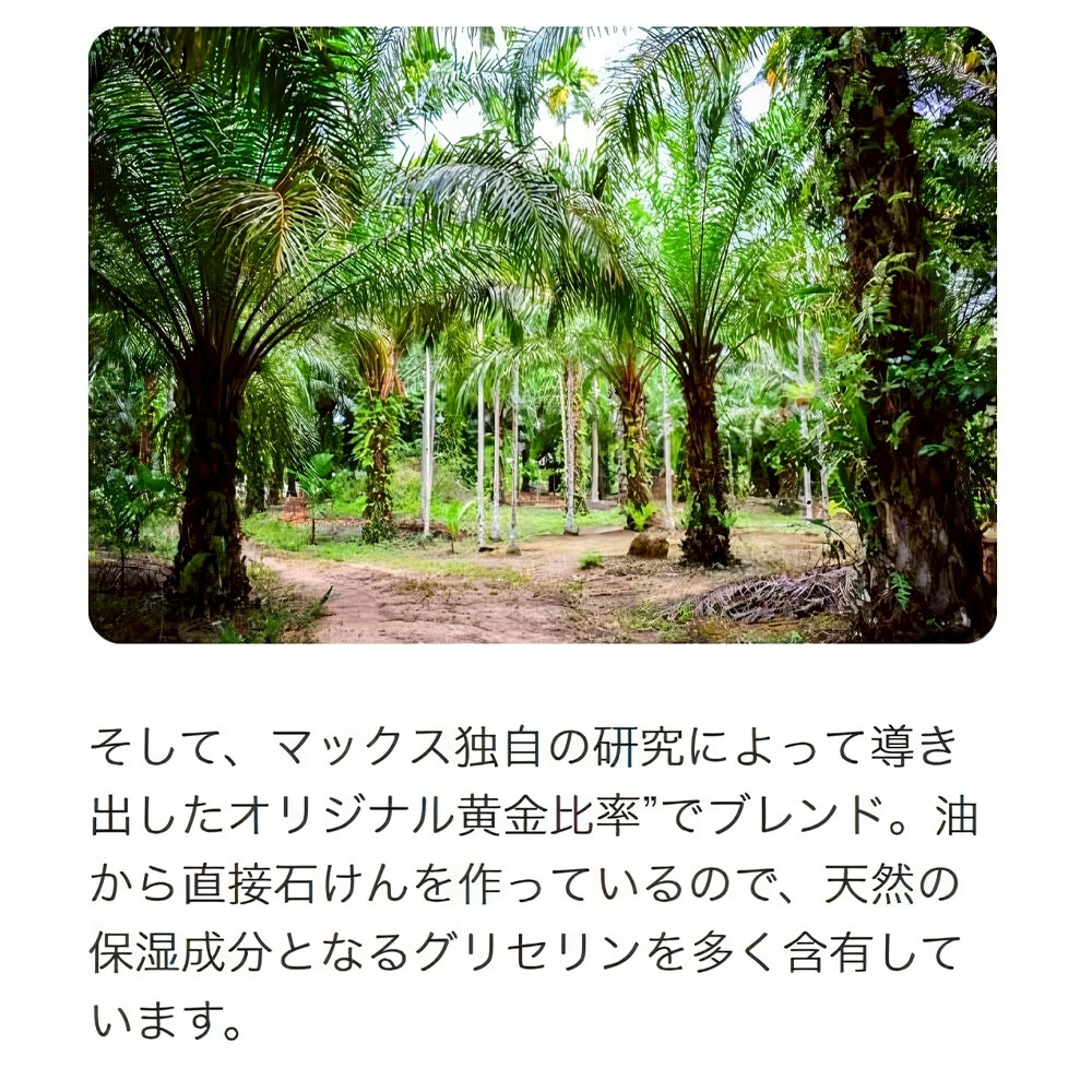 MAX 日本原裝進口無添加生活 備長炭皂 竹炭皂 蜂蜜皂 80g/入 保濕 潔膚 無添加 肥皂 香皂-圖片-4