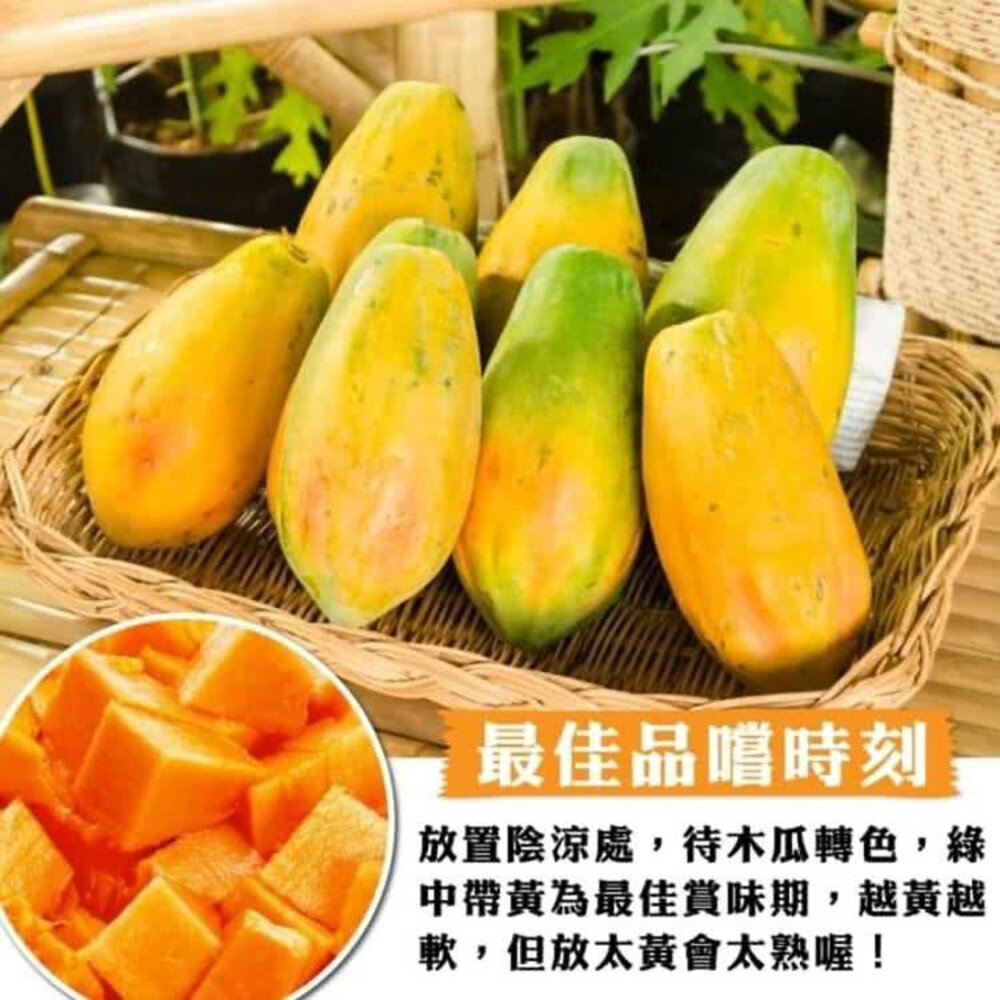 台農2號木瓜10斤±10%/含箱 0運費【果農直配】台灣木瓜 台灣水果 台灣小農木瓜 木瓜牛奶-圖片-4