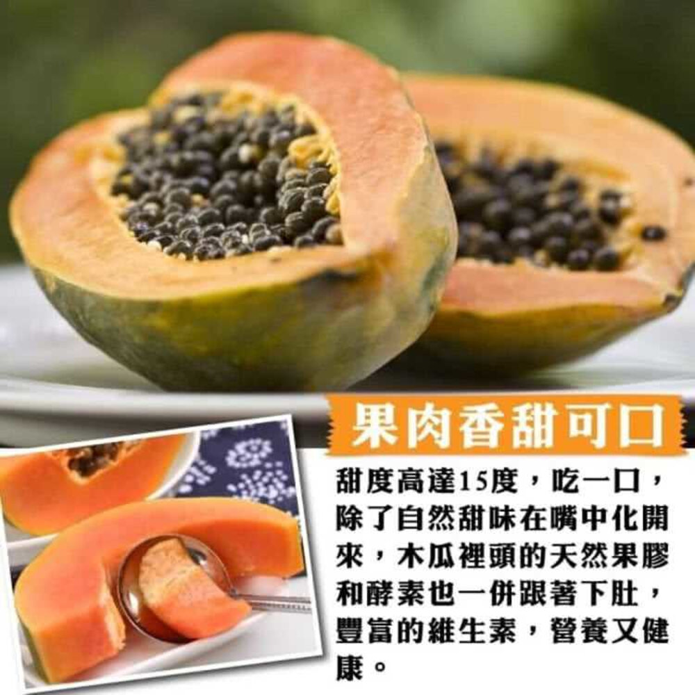 台農2號木瓜10斤±10%/含箱 0運費【果農直配】台灣木瓜 台灣水果 台灣小農木瓜 木瓜牛奶-圖片-5