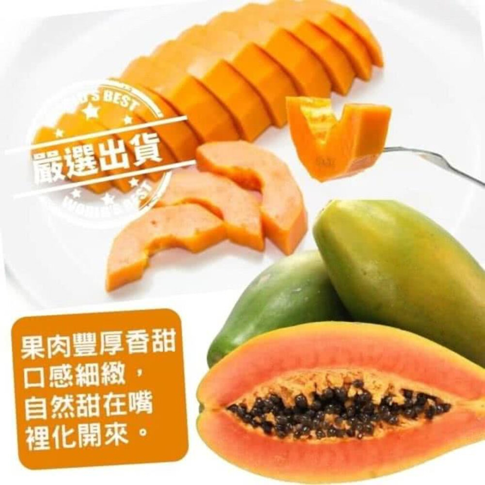 台農2號木瓜10斤±10%/含箱 0運費【果農直配】台灣木瓜 台灣水果 台灣小農木瓜 木瓜牛奶-圖片-6
