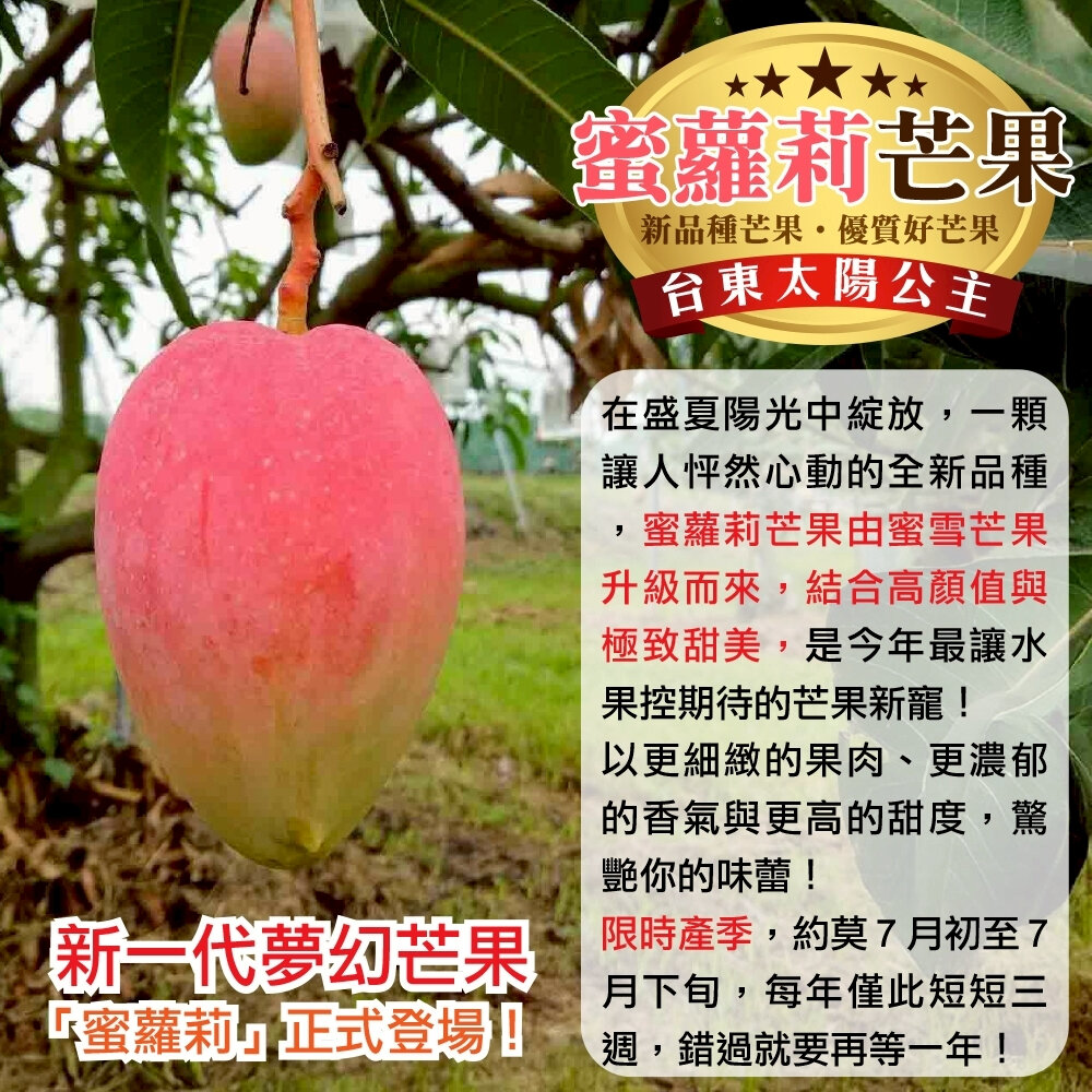 台東太陽公主蜜蘿莉芒果2.5kg±10%含盒(每盒5-7入)【果農直配】芒果禮盒 台灣芒果-圖片-3