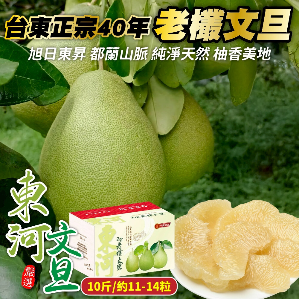 42458721640-台東正宗40年東河老欉文旦(每箱10斤±10%含箱/11-14入) 0運費【果農直配】東河文旦 柚子 中秋