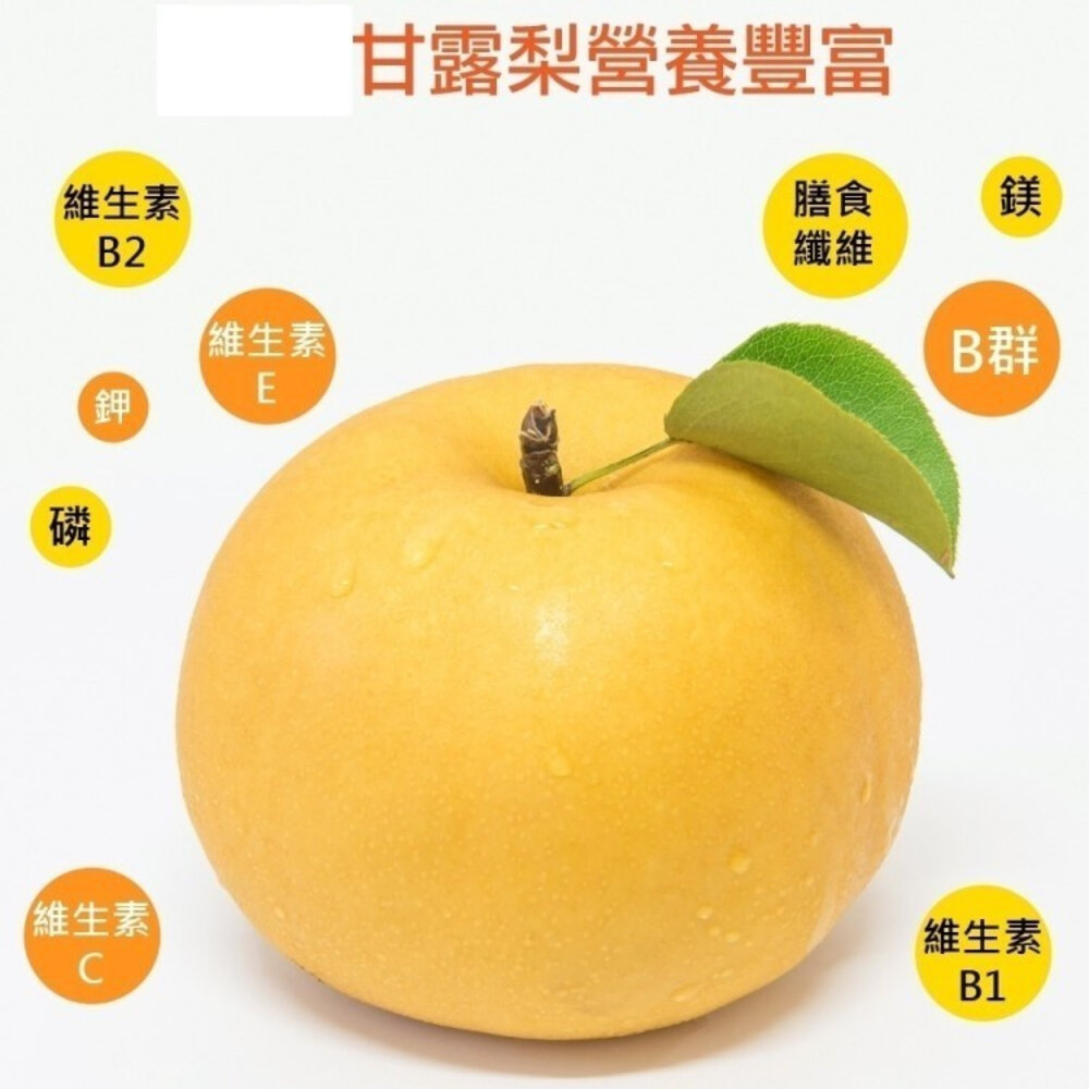 台灣寶島甘露梨 0運費【果之蔬】中秋禮盒 寶島梨 甘露梨 卓蘭梨 高山梨-圖片-3