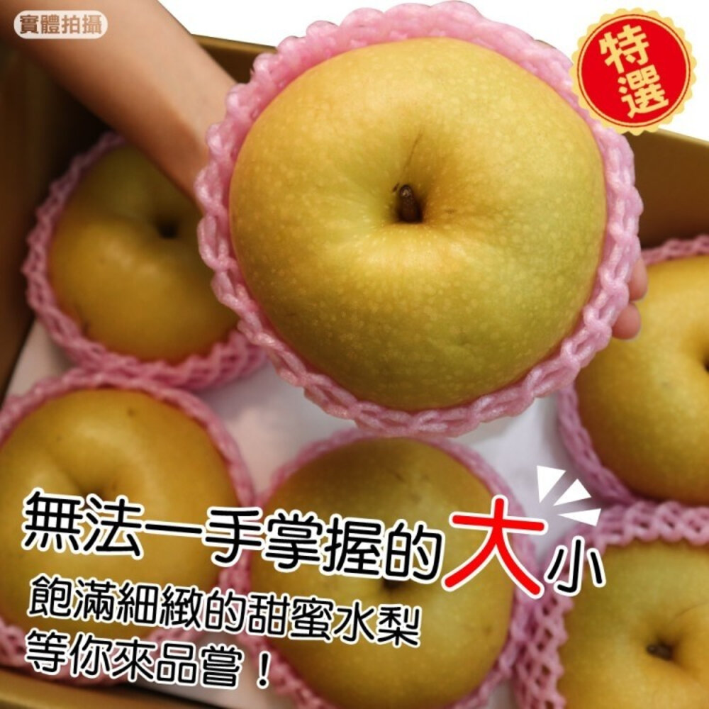 台灣寶島甘露梨 0運費【果之蔬】中秋禮盒 寶島梨 甘露梨 卓蘭梨 高山梨-圖片-5