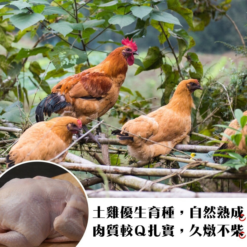 台灣土雞(全雞)(每隻1kg±10%)【海陸管家】滿額免運-圖片-2