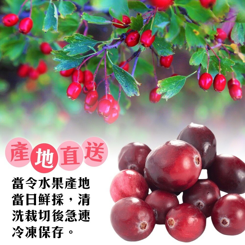 冷凍加拿大蔓越莓(每包200g±10%)【海陸管家】滿額免運-圖片-3