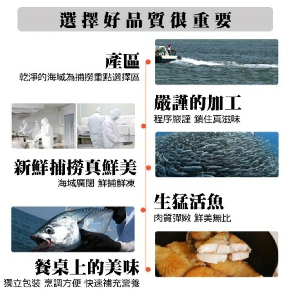 嚴選無肚洞土魠魚(每片100g±10%)【海陸管家】滿額免運-圖片-6
