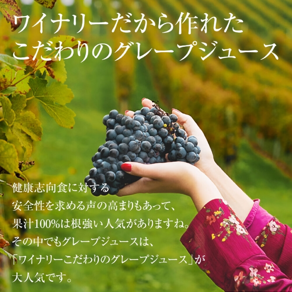 日本 Alps 阿爾卑斯紅葡萄汁 1000ml 100%紅葡萄汁 葡萄汁-圖片-3