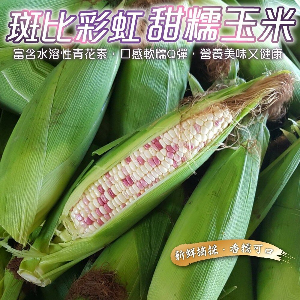 5433618827-斑比彩虹甜糯玉米【果農直配】全省免運