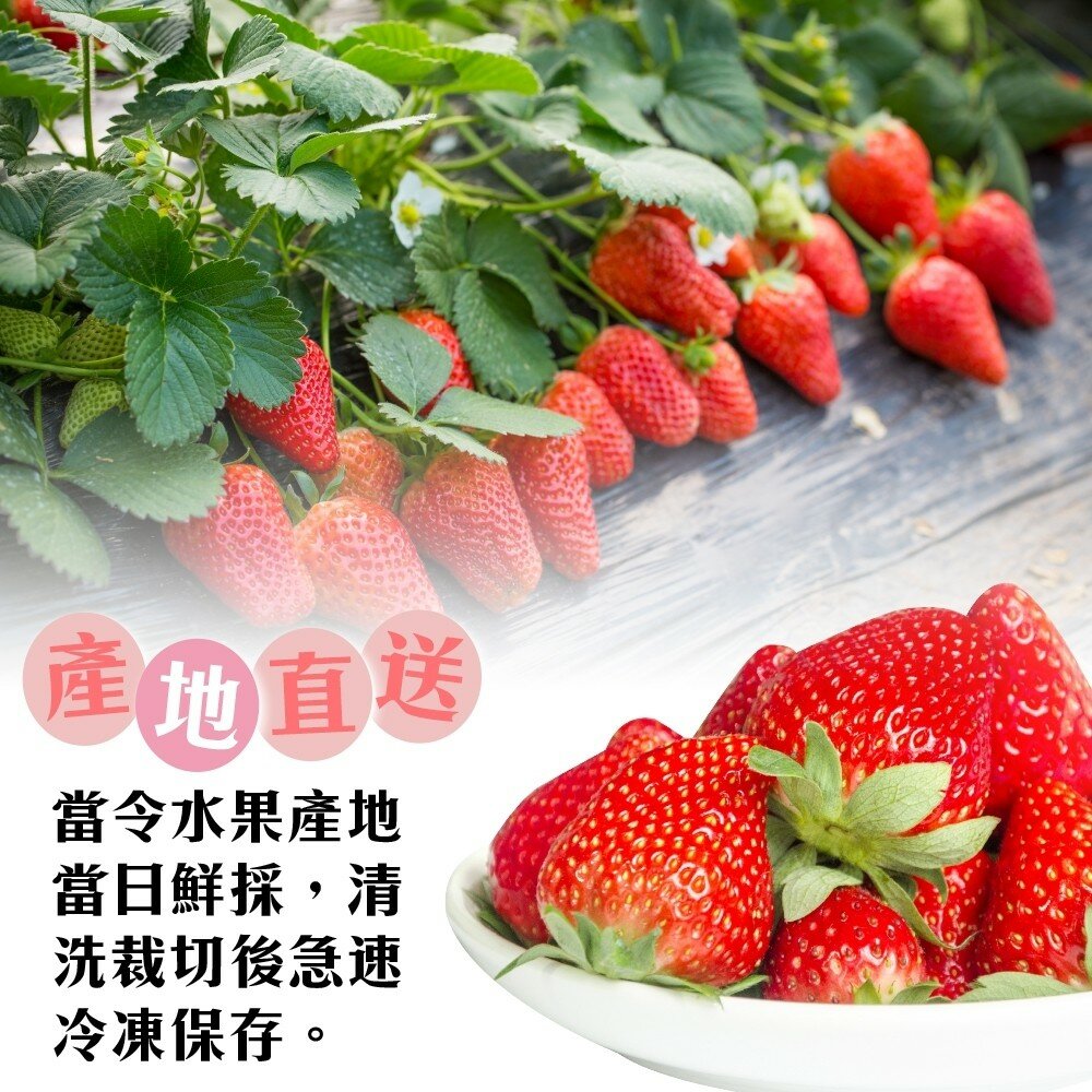 冷凍草莓(每包200g±10%)【海陸管家】滿額免運-圖片-2