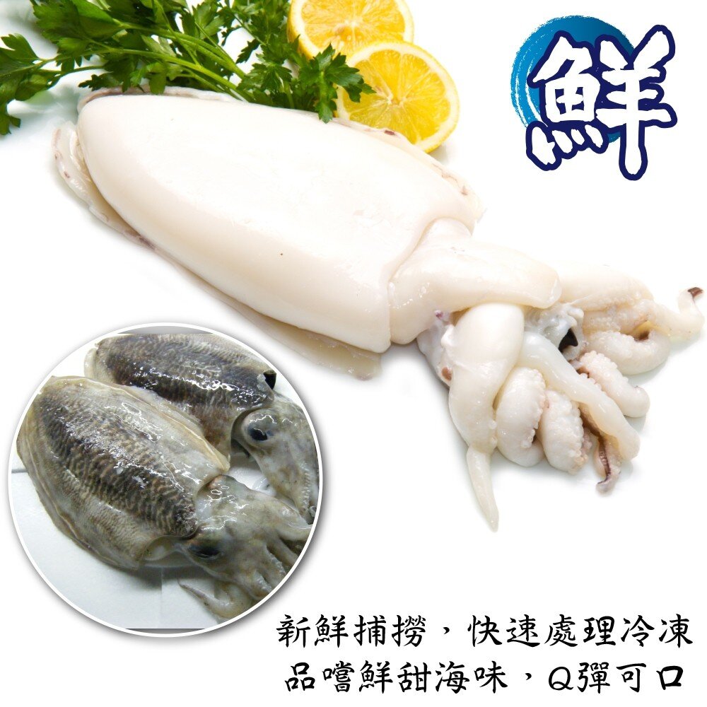 特級鮮Q甜肥厚大花枝(每隻400g±10%)【天天鮮配】滿額免運-圖片-3