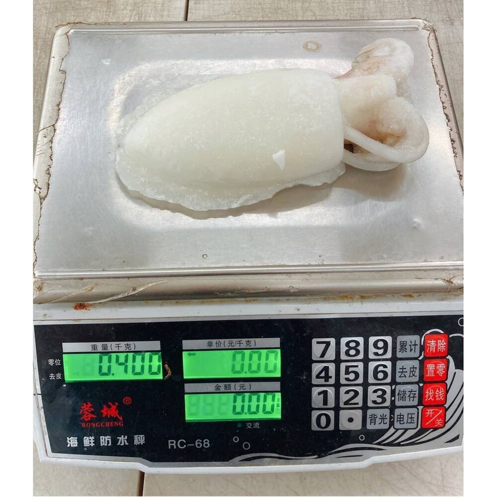 特級鮮Q甜肥厚大花枝(每隻400g±10%)【天天鮮配】滿額免運-圖片-4