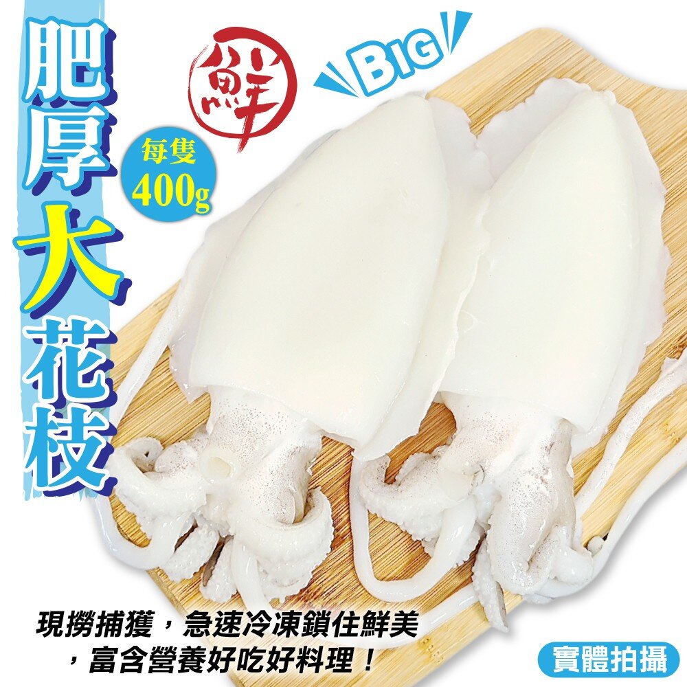 6054113590-特級鮮Q甜肥厚大花枝(每隻400g±10%)【天天鮮配】滿額免運