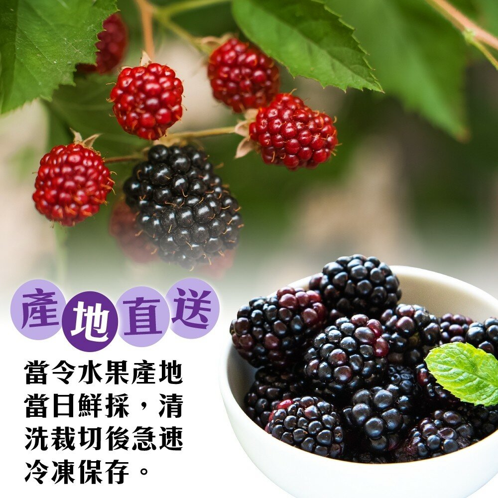冷凍黑莓(每包200g±10%)【海陸管家】滿額免運-圖片-3