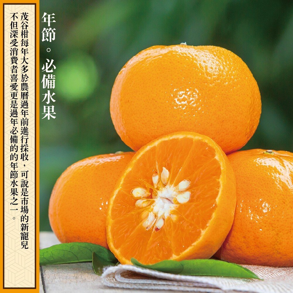 台灣茂谷柑禮盒 0運費【果農直配】柑橘 台灣柑 台灣橘子 椪柑 水果禮盒 年節禮盒-圖片-3