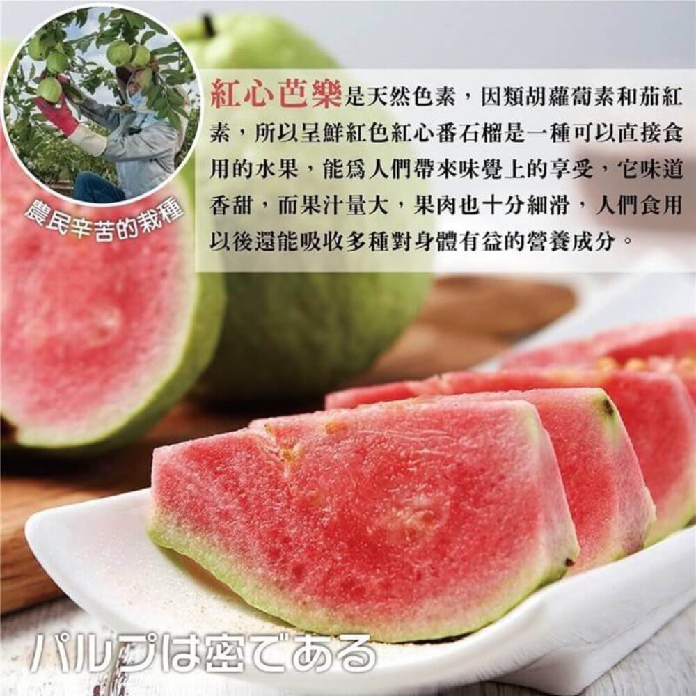 台灣紅心芭樂 0運費【果農直配】紅肉芭樂 紅芭-圖片-2