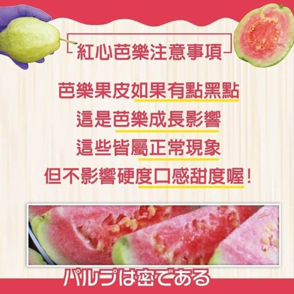 台灣紅心芭樂 0運費【果農直配】紅肉芭樂 紅芭-圖片-3