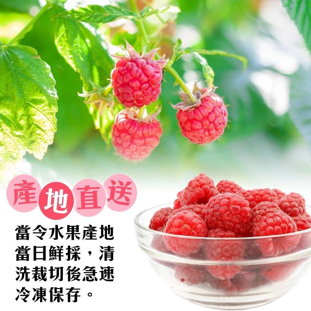 冷凍覆盆莓(每包200g±10%)【天天鮮配】滿額免運 冷凍水果 覆盆莓 莓果 優格果昔 烘焙甜點-圖片-2