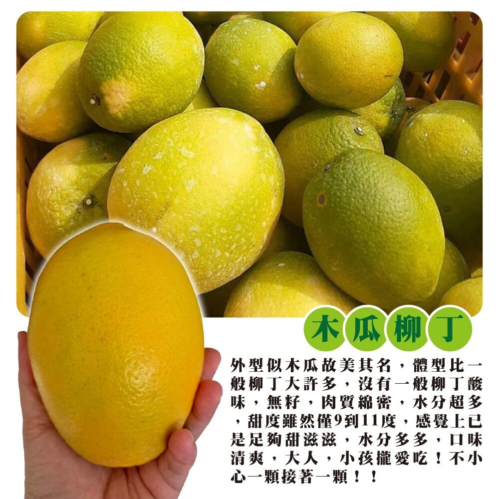 雲林古坑木瓜蜜丁 0運費【果之蔬】-圖片-3