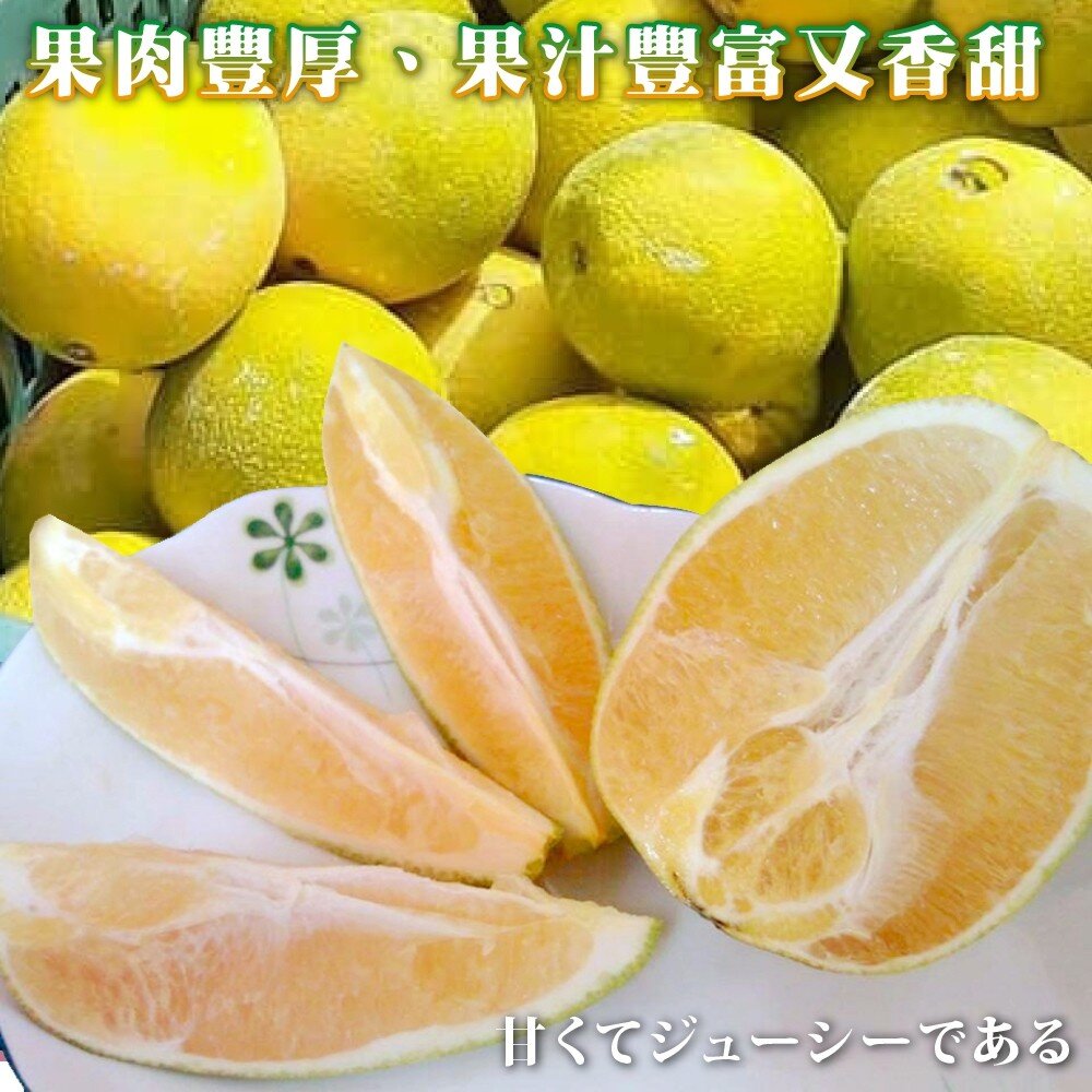雲林古坑木瓜蜜丁 0運費【果之蔬】-圖片-4